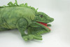 Iguana Hand Puppet, Very Nice Plush Lizard, Stuffed Reptile, Educational, Realistic, Lifelike Model, Gift,    32"   FM34 B413