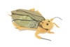 Cockroach Stuffed Animal Plush Toy