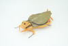 Cockroach, Palmetto bugs, Blattodea, Plush Roach Design, Educational, Figure, Replica, Gift,      8"   GM06 B87