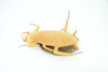 Cockroach, Palmetto bugs, Blattodea, Plush Roach Design, Educational, Figure, Replica, Gift,      8"   GM06 B87