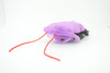 Trilobite, Asaphiscus wheeleri, Marine Arthropod, Fossil, Plush Design, Educational, Figure, Replica, Gift,    6"   GM03 B108