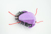 Trilobite, Asaphiscus wheeleri, Marine Arthropod, Fossil, Plush Design, Educational, Figure, Replica, Gift,    6"   GM03 B108