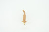 Fennec Fox, Vulpes zerda, Desert Fox, Hand Painted, Educational, Rubber, Realistic Figure, Lifelike Model, Replica, Gift,    2"   SF22 B45
