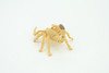 Scorpion, Desert Arachnid, Deathstalker, Hand Painted, Educational, Rubber, Realistic Figure, Lifelike Model, Gift,         2 "   SF26 B45
