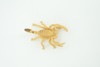 Scorpion, Desert Arachnid, Deathstalker, Hand Painted, Educational, Rubber, Realistic Figure, Lifelike Model, Gift,         2 "   SF26 B45