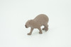 Capybara, Water pig, Capy, Hydrochoerus hydrochaeris, Hand Painted, Educational, Rubber Animal, Realistic Figure, Lifelike, Gift,    2"    SF36 B44