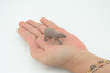 Capybara, Water pig, Capy, Hydrochoerus hydrochaeris, Hand Painted, Educational, Rubber Animal, Realistic Figure, Lifelike, Gift,    2"    SF36 B44