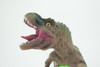 Tyrannosaurus Rex, T Rex,  Cretaceous Dinosaur, Hand Painted, Educational, Soft Rubber,  Lifelike Model, Figurine, Replica, Gift,    13"   AR10 B304 