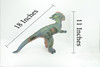 Pachycephalosaurs, Thick-headed lizard, Cretaceous Dinosaur, Hand Painted, Educational, Soft Rubber, Lifelike Model, 18 Inches, 11 Inches Tall.