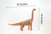 Brachiosaurus, Sauropod Dinosaur, Late Jurassic, Hand Painted, Educational, Soft Rubber, Lifelike Model, Gift,    20"   AR17 B310 