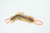 Centipede, Brown, Predatory arthropods, Hand Painted, Rubber Insect, Educational, Realistic Figure, Lifelike Model, 7 Inches Long.