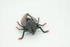 Cicada, Cicadidae, Hand Painted, Rubber Insect, Educational, Realistic Figure, Lifelike Model, Gift,   4"    AR21 B329