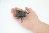 Cicada, Cicadidae, Hand Painted, Rubber Insect, Educational, Realistic Figure, Lifelike Model,  4 Inches Long, 3 Inches Wide.