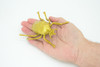 Gold Beetle, Resplendent Beetle, Hand Painted, Rubber Insect, Educational, Realistic Figure, Lifelike Model,  4 1/2 Inches Long.