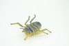 Gold Beetle, Resplendent Beetle, Hand Painted, Rubber Insect, Educational, Realistic Figure, Lifelike Model, Gift,   4 1/2"    AR22 B329