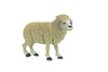Sheep Toy