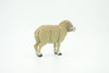 Sheep, Domestic Ram, Educational, Hand Painted, Plastic Animal, Realistic, Toy Figure, Model, Replica, Kids, Gift,      4 1/2"   WR18 B233
