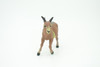 Goat, Domestic Goat, Educational, Hand Painted, Plastic Animal, Realistic, Toy Figure, Model, Replica, Kids, Gift,      5"   WR20 B233