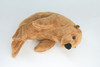 Seal, True Seal, Sea Dog, Very Nice Plush Marine Animal, Educational, Realistic Design, Educational, Figure, Lifelike, Gift,    10"   RE06 BB320