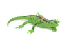Lizard, Stretchable, Squishy, Squeezable, Very nice Soft Rubber Reptile, Educational, Realistic, Hand Painted, Figure, Replica, Gift, 8"