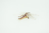 Dragonfly, Very Nice Rubber Insect, Educational, Realistic Hand Painted, Figure, Lifelike Model, Figurine, Replica, Gift,   2"   US15 B44
