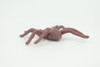 Spider, Very Nice Rubber Insect, Educational, Realistic Hand Painted, Figure, Lifelike Model, Figurine, Replica, Gift,     2"   US19 B44
