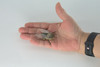 Fly, Houseflies, Very Nice Rubber Insect, Educational, Realistic Hand Painted, Figure, Lifelike Model, Figurine, Replica, Gift,     2"   US22 B44