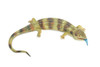 Blue Tongue Skink, High Quality, Hard Rubber Lizard, Hand Painted, Realistic Reptile, Toy Figure, Model, Replica, Kids, Educational, Gift, 15" IM11 B657