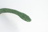 Rat Snake, Green, Hand Painted, High Quality, Hard Rubber Snake, Realistic Reptile, Toy Figure, Model, Replica, Kids, Educational, Gift,      17"   IM12 B657
