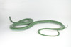 Rat Snake, Green, Hand Painted, High Quality, Hard Rubber Snake, Realistic Reptile, Toy Figure, Model, Replica, Kids, Educational, Gift,      17"   IM12 B657