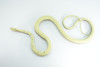 Rat Snake, Brown, Hand Painted, High Quality, Hard Rubber Snake, Realistic Reptile, Toy Figure, Model, Replica, Kids, Educational, Gift,      17"   IM13 B657