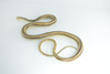 Rat Snake, Brown, Hand Painted, High Quality, Hard Rubber Snake, Realistic Reptile, Toy Figure, Model, Replica, Kids, Educational, Gift,      17"   IM13 B657