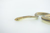 Rat Snake, Brown, Hand Painted, High Quality, Hard Rubber Snake, Realistic Reptile, Toy Figure, Model, Replica, Kids, Educational, Gift,      17"   IM13 B657