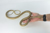 Rat Snake, Brown, Hand Painted, High Quality, Hard Rubber Snake, Realistic Reptile, Toy Figure, Model, Replica, Kids, Educational, Gift,      17"   IM13 B657
