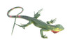 Iguana, High Quality, Hand Painted, Hard Rubber Lizard, Realistic Reptile, Toy Figure, Model, Replica, Kids, Educational, Gift, 15" IM14 B654