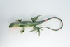 Iguana, High Quality, Hand Painted, Hard Rubber Lizard, Realistic Reptile, Toy Figure, Model, Replica, Kids, Educational, 15 Inches Long.