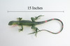 Iguana, High Quality, Hand Painted, Hard Rubber Lizard, Realistic Reptile, Toy Figure, Model, Replica, Kids, Educational, Gift,    15"    IM14 B654