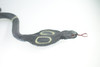 King Cobra, High Quality, Hand Painted, Hard Rubber Snake, Realistic Reptile, Toy Figure, Model, Replica, Kids, Educational, Gift,    16"    IM18 B656