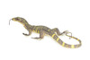 Monitor Lizard, Hand Painted, High Quality, Hard Rubber Lizard, Realistic Reptile, Toy Figure, Model, Replica, Kids, Educational, Gift, 13" IM20 B656