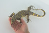 Monitor Lizard, Hand Painted, High Quality, Hard Rubber Lizard, Realistic Reptile, Toy Figure, Model, Replica, Kids, Educational, Gift,    13"   IM20 B656