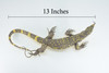 Monitor Lizard, Hand Painted, High Quality, Hard Rubber Lizard, Realistic Reptile, Toy Figure, Model, Replica, Kids, Educational, Gift,    13"   IM20 B656