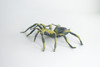 Tarantula Spider, Hand Painted, High Quality, Hard Rubber Spider, Realistic Insect, Toy Figure, Model, Replica, Kids, Educational, Gift,    5"   IM21 B654