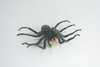 Tarantula Spider, Hand Painted, High Quality, Hard Rubber Spider, Realistic Insect, Toy Figure, Model, Replica, Kids, Educational, Gift,    5"   IM21 B654