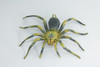 Tarantula Spider, Hand Painted, High Quality, Hard Rubber Spider, Realistic Insect, Toy Figure, Model, Replica, Kids, Educational, Gift,    5"   IM21 B654