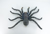 Tarantula Spider, Jumbo, Hand Painted, High Quality, Hard Rubber Spider, Realistic Insect, Toy Figure, Model, Replica, Kids, Educational, Gift,    14"   IM22 B656