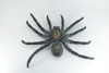 Tarantula Spider, Jumbo, Hand Painted, High Quality, Hard Rubber Spider, Realistic Insect, Toy Figure, Model, Replica, Kids, Educational, Gift,    14"   IM22 B656