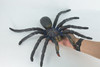 Tarantula Spider, Jumbo, Hand Painted, High Quality, Hard Rubber Spider, Realistic Insect, Toy Figure, Model, Replica, Kids, Educational, Gift,    14"   IM22 B656