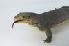 Monitor Lizard, Very Large, Hand Painted, Museum Quality, Hard Rubber Lizard, Realistic Reptile, Model, Replica, Educational,  40 Inches Long, 6 Inches Tall.
