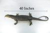 Monitor Lizard, Life Size, Hand Painted, Museum Quality, Hard Rubber Lizard, Realistic Reptile, Model, Replica, Educational, Gift,    40"   IM25 B658