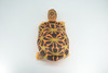 Box Turtle, Plush Animal, Soft, Stuffed Reptile Toy, Educational, Realistic, Beautiful Turtle Design, Figure, Lifelike, Replica, Gift,      11"   RI54 B662